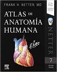 Geografia y atlas cuarto grado grado ftd 1923 el libro está estructurado en 2 partes: Amazon Com Atlas De Anatomia Humana 7Âª Ed Spanish Edition 9788491134688 Netter Frank H Drk Edicion Sl Books