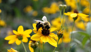 By andy mcindoe • june 28th, 2020. What S New Page 201 Of 918 Hobby Farms