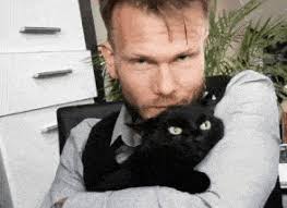 Über diesen Ratgeber