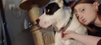 Throwback to when my boys first got boots ❤️ it did not go well....