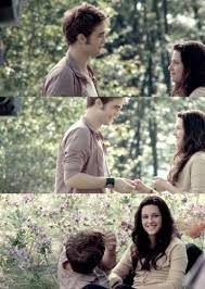 Twilight Series Photo Twilight Twilight Twilight Series Twilight Saga