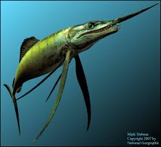 Image result for Pycnosphaera