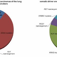 Pie Chart Of The Frequency Of Driver Oncogene Mutations In