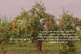 For a good tree does not bear bad (corrupt fruit), nor does a bad (corrupt) tree bear good fruit. A Good Tree Cannot Bear Bad Fruit Matthew 7 18 19 Bible Verse Of The Day
