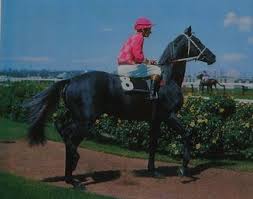 Silver Knight 1971 Melbourne Cup Melbourne Cup Horses Silver Knight