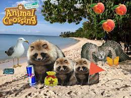 You can also send us an email to nookfriendsdotcom@gmail.com. Welcome To Animal Crossing New Horizons Animalcrossing
