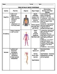 Human Body Systems Chart Worksheets Teaching Resources Tpt