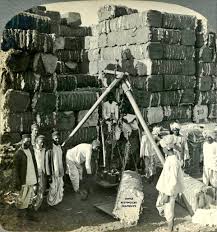 Weighing bales of cotton, Bombay— 1908 ...
