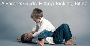 Handling Hitting Kicking Biting And Hair Pulling A Parents Guide
