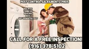 Need to get rid of pests, fast? Pest Control Elk Grove California 916 378 5102
