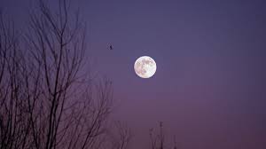What Is a Blue Moon?