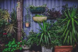 See more ideas about garden design, garden design pictures, garden. Small Garden Design Ideas Greener Ideal