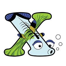 Trying to find a food for every letter of the alphabet? Animals That Start With X Alphabetimals Animal Dictionary