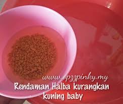 Gigi bayi kuning bisa disebabkan oleh plak dari makanan atau minuman yang menempel pada gigi bayi dan jika tidak segera dibersihkan maka plak tersebut akan merubah warna gigi bayi menjadi kuning. Rendaman Halba Kurangkan Kuning Baby