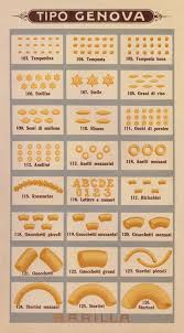 italian pasta shapes pasta italian pasta pasta shapes