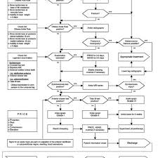 Algorithm For Diagnosis And Treatment Of Acute Ankle