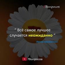 нет величия там где нет простоты добра и правды Vsyo Samoe Luchshee Sluchaetsya Neozhidanno C Avtor Neizvesten Youtube Kanal 7voprosov Yarkie Citaty Interesnye Mysli Krasivye Stroki In 2020