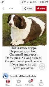 Open your dog's mouth, being sure to roll the fleshy part of his muzzle over his canine teeth. Hey I Dont Do Shit Wanna Repost Me No Well I Protect You From Fake Posts That Are Only There For Publicities Sake Cute Funny Animals Funny Animals Funny Cute
