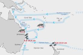 Usually, they cruise at around 0.9 to 5.8 mph (1.4 to 9.3 km/h), but have been found to swim up to 22 mph (35 km/hr) when. Takin A Ride On The Eac Across The Southern Pacific Ocean The State Of The World S Sea Turtles Swot