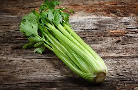 And whether you store the stalks whole or cut up, be sure to store the celery in the fridge, because the cold will also help keep the stalks fresh. How To Store Celery In The Fridge Cut Sticks Root Fresh Kitchen Lily