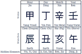 Joseph Biden Serious Feng Shui