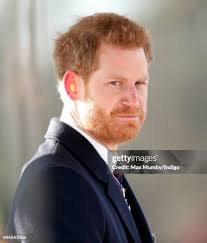 1,802 Harry Beard Stock Photos, High-Res Pictures, and Images