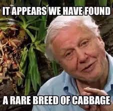 Bet her parents are proud' and 38 more things you said about the 'crack  head spliff' attack video