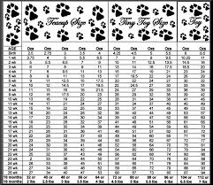 Pomeranian Growth Chart Weight Related Keywords