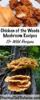 Chicken Of The Woods Mushroom Recipes Wild Mushroom Recipes Stuffed Mushrooms Mushroom Recipes