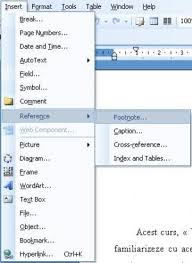 Cred ca majoritatea dintre noi nu lucram eficient atunci cand avem nevoie de bibliografie in word. Note De Sfarsit Si Note De Subsol