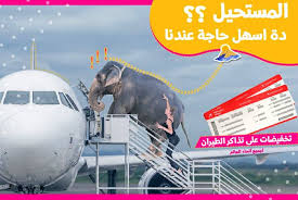 دليلك للسفر وحجز تذاكر الطيران Home Facebook