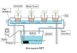 In this post, we are going to focus only on growing lettuce in nft/dft. 15 Trend Terbaru Perbedaan Hidroponik Teknik Nft Dan Dft Trend Hidroponik