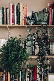 Good Reads Food52 Sfgirlbybay Decor Design Home Decor