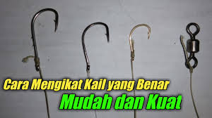Page ini digunakan untuk mengumpul cara2 mengikat tali pancing dan mata kail untuk rujukan bersama. Lungo Mancing On Twitter Cara Mengikat Kail Pancing Link Https T Co U1qnjfhpyi Mancing Pemancing Memancing
