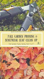 Ep 25 Fall Garden Pruning And Beneficial Leaf Clean Up Autumn Garden Leaf Clean Up Leaves Clean