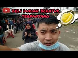 Log in or sign up to leave a comment log in sign up. Beli Durian Beratur Terpanjang Paya Jaras Sg Buloh Youtube