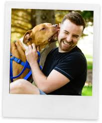 Veterinarians, pet groomers, pet boarding. Veterinarian In Dyer And Munster In Dyer Animal Clinic