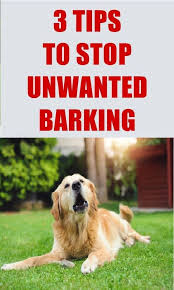 Does Your Dog Bark At Everything And Won T Stop Instead Of Yelling Try This Simple Method To Get Your Dog To Stop Barking Doginfo Your Dog Dog Care Sick Dog