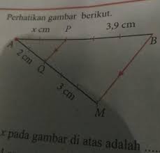 2020 rumus luas selimut tabung contoh soal ilmusiana. Perhatikan Gambar Berikut Nilai X Pada Gambar Di Atas Adalah Brainly Co Id