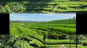 Wisata lembah indah malang ini meskipun masih … 7 Desa Cantik Yang Memiliki Panorama Alam Terindah Di Indonesia Youtube