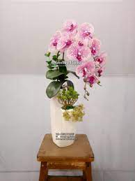 Dari sekian banyak jenis tanaman hias, anggrek termasuk salah satu yang paling banyak dipilih. Rangkaian Anggrek Meja Tamu Mambayflorist