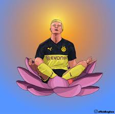 Lewandowski literally broke the record for most goals scored in a bundesliga season, a record that gerd müller had retained since 1971/1972. Erling Braut Haland Illustration Oc Borussiadortmund