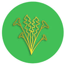 8 weed and pest control 12. Weed Control Green Valley Az Sahuarita
