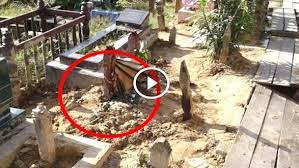 Drama berkonsep keusahawanan ini mula mendapat tempat di hati masyarakat mak cun merupakan seorang usahawan berjaya dan terkenal dengan bedak sejuk yang menjadi produk jualannya. Penduduk Gempar Kubur Jenazah Keluarkan Cecair Merah Busuk Ini Hasil Siasatan Ada Video