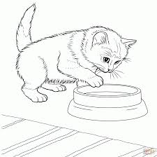 Farbung Malvorlagen Malvorlagenfurkinder Ausmalbilder Katzen Ausmalbilder Malvorlage Katze