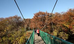 We have a weight limit of 300 lbs for trail rides, however any one can experience a beautiful ride in our carriage. Kankakee River State Park Parks