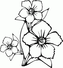 39+ hawaiian flower coloring pages printable for printing and coloring. Hawaiian Flowers Coloring Page Coloring Home