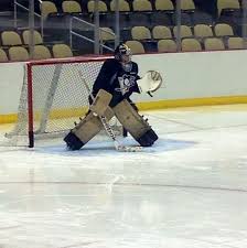 Pack de 6 serviettes ecopads® fleury. Pittsburgh Penguins On Twitter Hello From Pens Practice Marc Andre Fleury Is Breaking In His New Steelers Mask And Is Rockin Gold Metallic Pads Http T Co Ftgk92biae