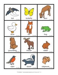 Using our free printable with 13 different animals (available to download at the end of … Diurnal Animals Preschool English Worksheets Listening Day Night Diurnal And Nocturnal Animals