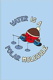 The most important polar molecule on earth is water. Water Is A Polar Molecule Funny Chemistry Pun Journal Notebook Workbook For Teachers Students Laboratory Nerds Geeks Scientific Humor Fans 6x9 100 Blank Lined Pages Science Yeoys Amazon De Bucher